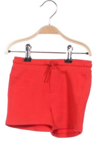 Παιδικό κοντό παντελόνι Fagottino By Oviesse, Μέγεθος 9-12m/ 74-80 εκ., Χρώμα Κόκκινο, Τιμή 8,35 €