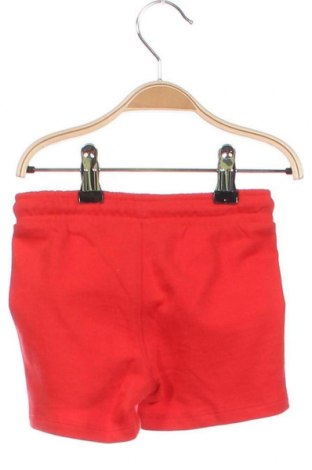 Dětské krátké kalhoty  Fagottino By Oviesse, Velikost 9-12m/ 74-80 cm, Barva Červená, Cena  125,00 Kč