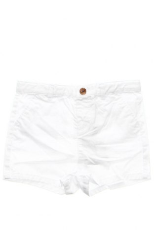 Παιδικό κοντό παντελόνι Gocco, Μέγεθος 18-24m/ 86-98 εκ., Χρώμα Λευκό, Τιμή 9,05 €