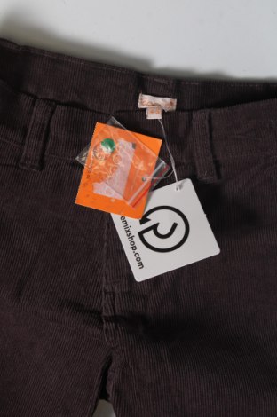 Pantaloni scurți pentru copii Gocco, Mărime 4-5y/ 110-116 cm, Culoare Maro, Preț 102,63 Lei