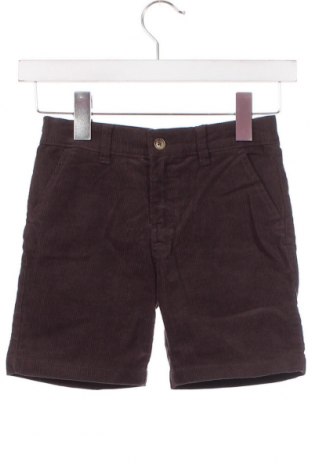 Pantaloni scurți pentru copii Gocco, Mărime 4-5y/ 110-116 cm, Culoare Maro, Preț 27,71 Lei