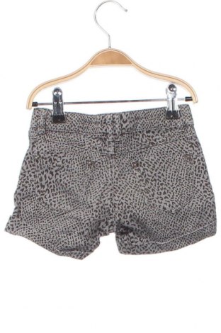 Kinder Shorts Zara, Größe 18-24m/ 86-98 cm, Farbe Grau, Preis € 7,86