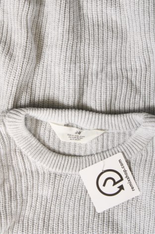 Παιδικό πουλόβερ H&M, Μέγεθος 15-18y/ 170-176 εκ., Χρώμα Γκρί, Τιμή 4,52 €