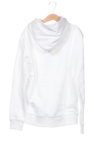 Dziecięca bluza Calvin Klein Jeans, Rozmiar 12-13y/ 158-164 cm, Kolor Biały, Cena 326,65 zł