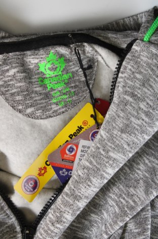 Kinder Sweatshirts Canadian Peak, Größe 10-11y/ 146-152 cm, Farbe Grau, Preis € 13,92