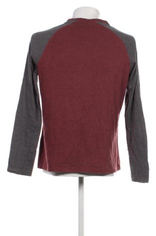 Ανδρική μπλούζα Craghoppers, Μέγεθος L, Χρώμα Πολύχρωμο, Τιμή 8,41 €