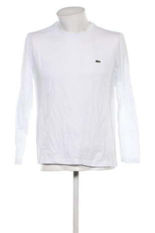 Herren Shirt Lacoste, Größe L, Farbe Weiß, Preis 34,10 €