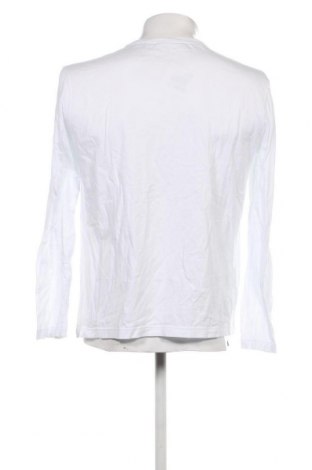 Ανδρική μπλούζα Lacoste, Μέγεθος L, Χρώμα Λευκό, Τιμή 30,31 €