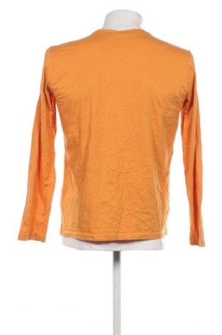 Ανδρική μπλούζα Roadsign, Μέγεθος M, Χρώμα Κίτρινο, Τιμή 12,37 €