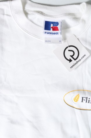 Ανδρική μπλούζα Russell, Μέγεθος M, Χρώμα Λευκό, Τιμή 5,32 €