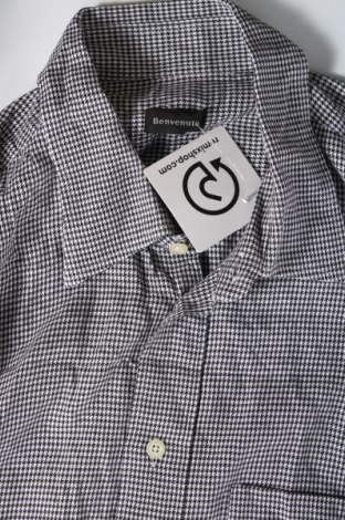 Ανδρικό πουκάμισο Benvenuto, Μέγεθος XL, Χρώμα Πολύχρωμο, Τιμή 14,47 €