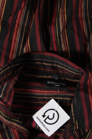 Мъжка риза Biaggini, Размер M, Цвят Многоцветен, Цена 6,38 лв.