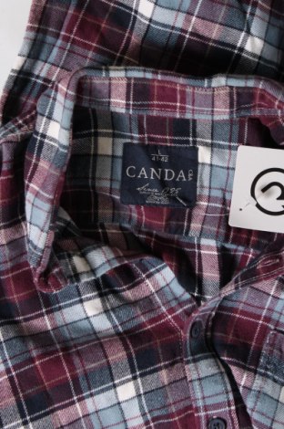Мъжка риза Canda, Размер L, Цвят Многоцветен, Цена 7,83 лв.