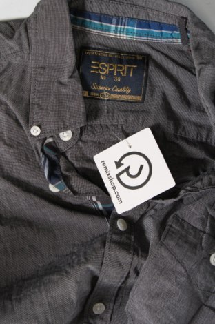 Ανδρικό πουκάμισο Esprit, Μέγεθος M, Χρώμα Γκρί, Τιμή 14,85 €