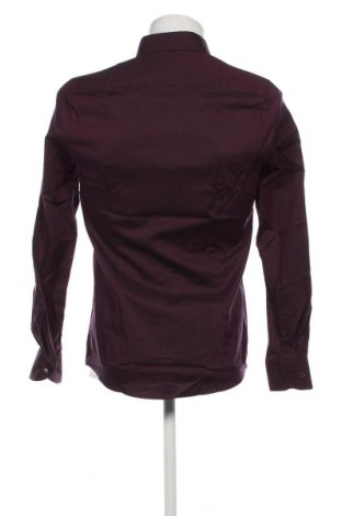Ανδρικό πουκάμισο Olymp, Μέγεθος M, Χρώμα Βιολετί, Τιμή 16,89 €