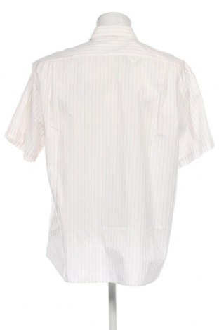 Pánská košile  Pierre Cardin, Velikost XL, Barva Krémová, Cena  542,00 Kč