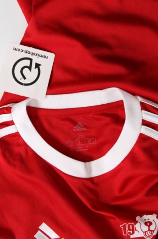 Herren Sport Shirt Adidas, Größe S, Farbe Rot, Preis 23,66 €