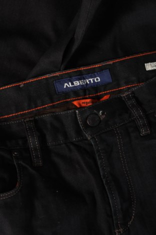 Herren Jeans Alberto, Größe M, Farbe Schwarz, Preis € 23,30