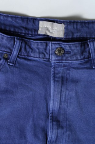Herren Jeans Everlane, Größe L, Farbe Blau, Preis € 3,76
