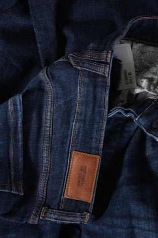 Herren Jeans Oviesse, Größe M, Farbe Blau, Preis 20,18 €