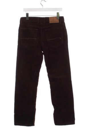 Pantaloni raiați de bărbați Tommy Hilfiger, Mărime L, Culoare Maro, Preț 123,02 Lei
