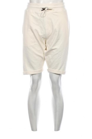 Ανδρικό κοντό παντελόνι, Μέγεθος XL, Χρώμα Εκρού, Τιμή 8,45 €