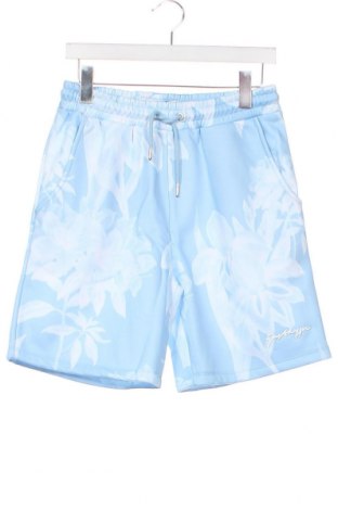 Herren Shorts Just Hype, Größe S, Farbe Blau, Preis 14,95 €