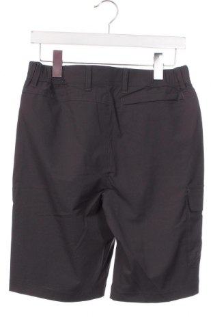 Pantaloni scurți de bărbați Polarino, Mărime S, Culoare Gri, Preț 39,34 Lei