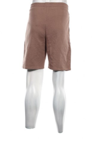 Ανδρικό κοντό παντελόνι Viral Vibes, Μέγεθος XL, Χρώμα Καφέ, Τιμή 29,90 €