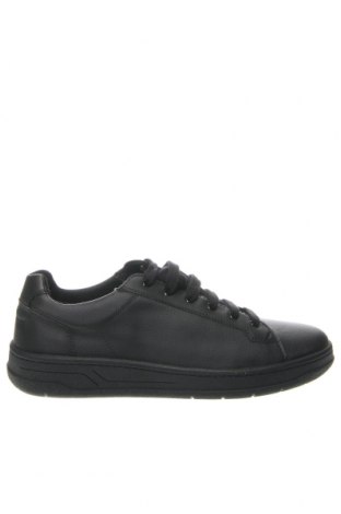 Ανδρικά παπούτσια Geox, Μέγεθος 43, Χρώμα Μαύρο, Τιμή 76,68 €
