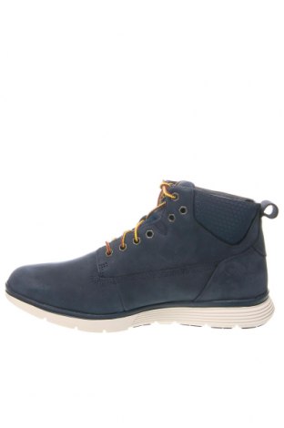 Ανδρικά παπούτσια Timberland, Μέγεθος 42, Χρώμα Μπλέ, Τιμή 126,80 €