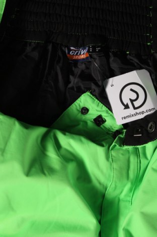 Мъжки панталон за зимни спортове Crivit, Размер L, Цвят Зелен, Цена 75,00 лв.