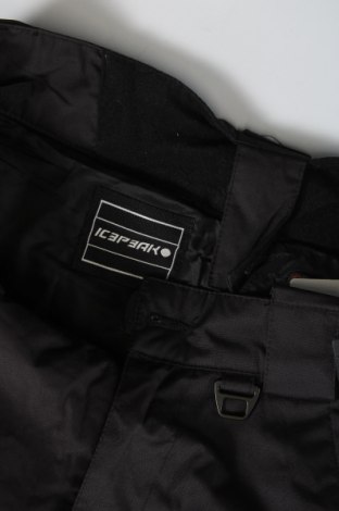 Ανδρικό παντελόνι για χειμερινά σπορ Icepeak, Μέγεθος S, Χρώμα Μαύρο, Τιμή 23,20 €