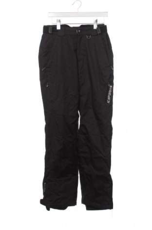 Ανδρικό παντελόνι για χειμερινά σπορ Icepeak, Μέγεθος S, Χρώμα Μαύρο, Τιμή 9,28 €