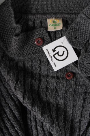 Ανδρικό πουλόβερ, Μέγεθος S, Χρώμα Γκρί, Τιμή 2,67 €