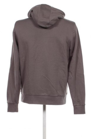 Herren Sweatshirt Calvin Klein, Größe M, Farbe Grau, Preis 71,91 €