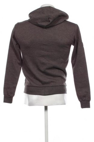 Herren Sweatshirt Sinequanone, Größe S, Farbe Grau, Preis € 9,05