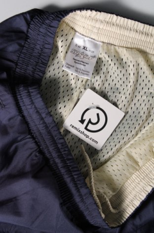 Ανδρικό αθλητικό παντελόνι Shamp, Μέγεθος L, Χρώμα Μπλέ, Τιμή 5,56 €