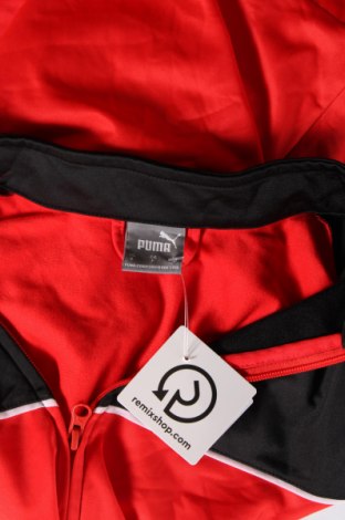 Ανδρική αθλητική ζακέτα PUMA, Μέγεθος S, Χρώμα Κόκκινο, Τιμή 32,40 €