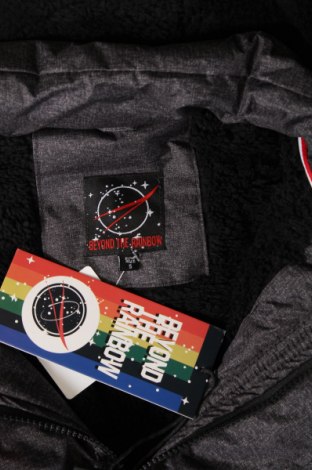 Pánska bunda  Beyond The Rainbow, Veľkosť S, Farba Sivá, Cena  65,32 €