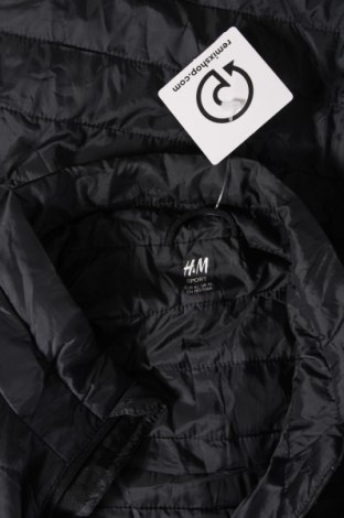Pánska bunda  H&M, Veľkosť XL, Farba Modrá, Cena  8,71 €