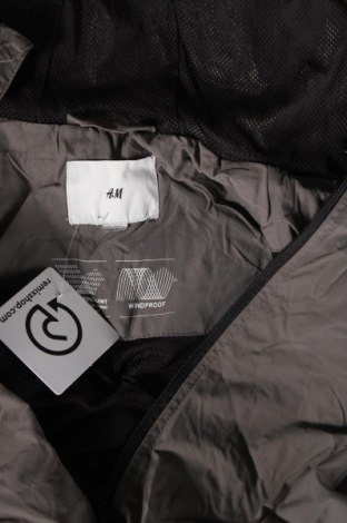 Pánska bunda  H&M, Veľkosť L, Farba Sivá, Cena  27,22 €