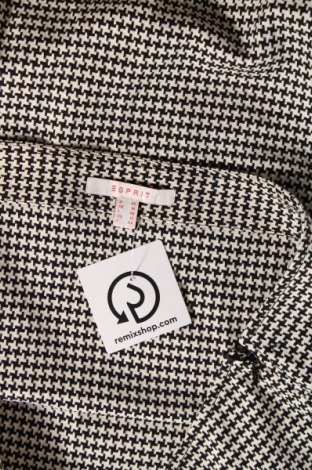 Φούστα Esprit, Μέγεθος L, Χρώμα Πολύχρωμο, Τιμή 2,69 €