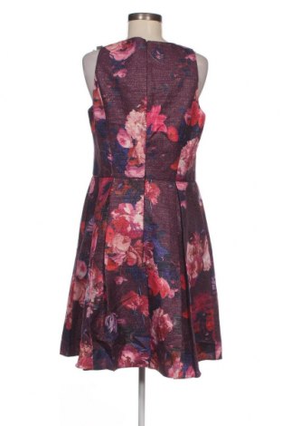 Kleid Adrianna Papell, Größe M, Farbe Mehrfarbig, Preis € 41,06