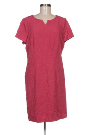 Kleid Betty Barclay, Größe XL, Farbe Rosa, Preis 105,15 €