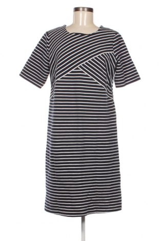 Kleid Brandtex, Größe L, Farbe Mehrfarbig, Preis 7,06 €