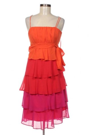 Kleid Debenhams, Größe S, Farbe Mehrfarbig, Preis € 4,24