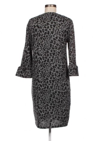 Φόρεμα Fransa, Μέγεθος M, Χρώμα Πολύχρωμο, Τιμή 4,42 €
