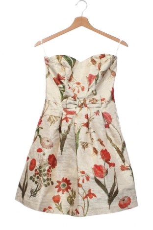 Kleid Naf Naf, Größe S, Farbe Mehrfarbig, Preis 37,42 €