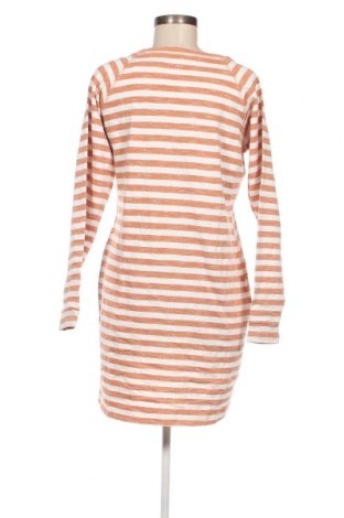 Kleid Nosh, Größe L, Farbe Mehrfarbig, Preis 41,06 €